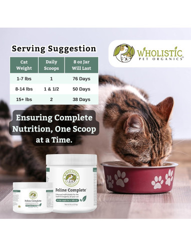 Suplemento Multivitamínico Probiotico para Gatos Wholistic 226g