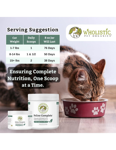Suplemento Multivitamínico Probiotico para Gatos Wholistic 226g