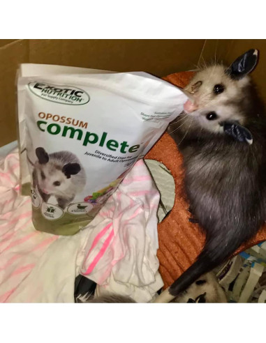Comida para Opossum Exotic Nutrition 0.45 kg Dieta Completa