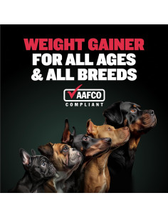 Suplemento Líquido Aumento de Peso Bully Max 16 oz 2