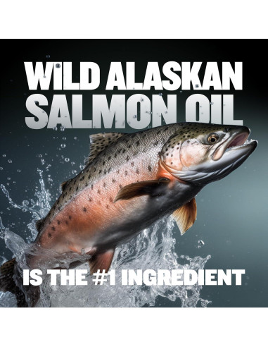 Suplemento Líquido Aumento de Peso Bully Max 16 oz