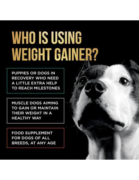 Aumentador de Peso para Perros PET CARE 90 Porciones