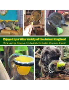 Nectar Pods Yogur Exotic Nutrition 8 Cápsulas para Mascotas 2