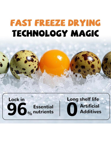 Galletas Deshidratadas para Mascotas PAWUP Yema de Huevo 260g