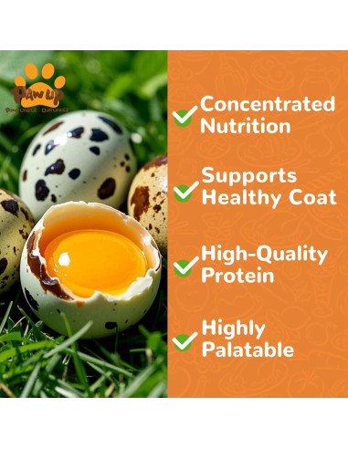 Galletas Deshidratadas para Mascotas PAWUP Yema de Huevo 260g