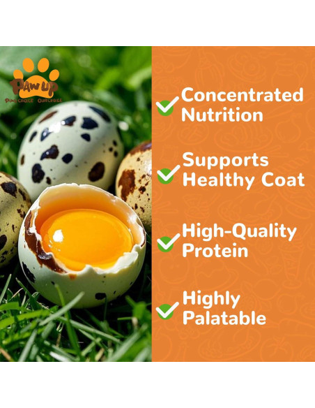 Galletas Deshidratadas para Mascotas PAWUP Yema de Huevo 260g