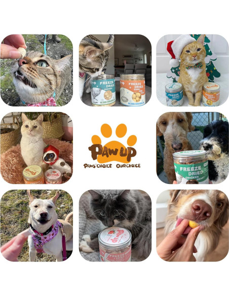 Galletas Deshidratadas para Mascotas PAWUP Yema de Huevo 260g