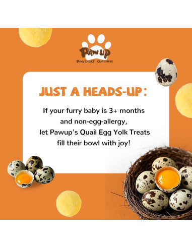 Galletas Deshidratadas para Mascotas PAWUP Yema de Huevo 260g