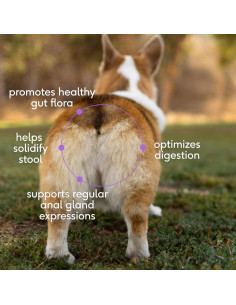 Suplemento Digestivo para Perros Native Pet WonderGland 60 porciones 2