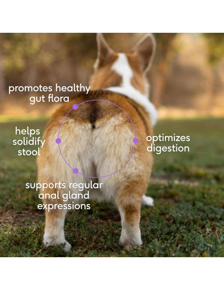 Suplemento Digestivo para Perros Native Pet WonderGland 60 porciones