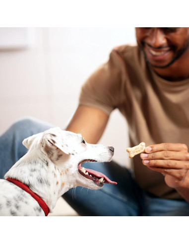 Galletas para perros Milk-Bone Original 4,54 kg medianos