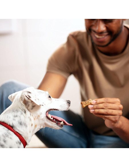 Galletas para Perros Milk-Bone Mini's 1,02 kg Sabor Carne, Pollo, Tocino
