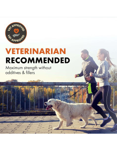 Suplemento Articular en Polvo Alpha Dog Nutrition 0.15kg 2