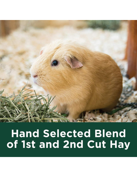 Heno de Timothy Kaytee 100% Natural 1.70 kg para Mascotas