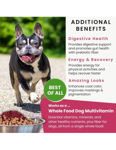 Olewo Remolachas Rojas para Perros 0,45 kg - Suavizante Piel