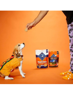 Galletas Crujientes para Perros Blue Buffalo 450g Calabaza Canela 2