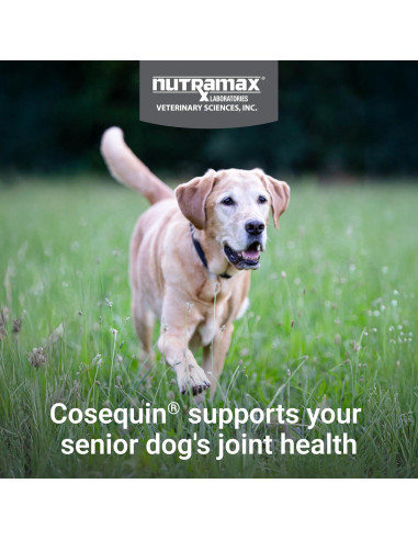 Cosequin Suplemento Articular para Perros Mayores 60 Chews