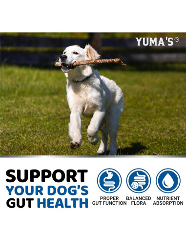 Probioticos para Perros YUMA'S 170 Masticables Pollo