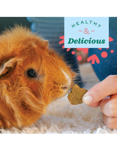 Golosinas Oxbow para Conejos y Cobayas Manzana y Plátano 85g