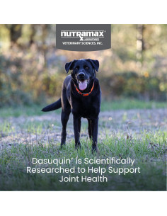 Suplemento Articular Nutramax Dasuquin Perro Grande 84 Masticables 2