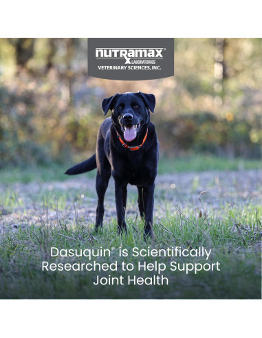 Suplemento Articular Nutramax Dasuquin Perro Grande 84 Masticables