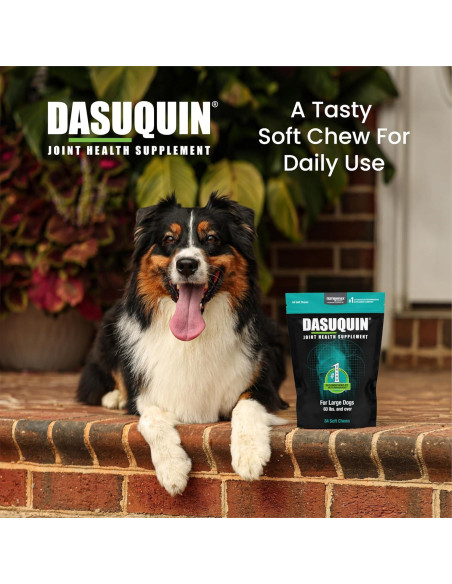 Suplemento Articular Nutramax Dasuquin Perro Grande 84 Masticables