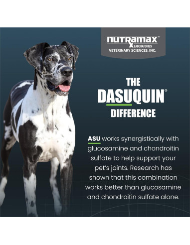 Suplemento Articular Nutramax Dasuquin Perro Grande 84 Masticables