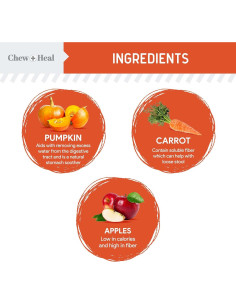 Polvo de Calabaza Orgánica Chew + Heal 113 g - Digestión Perros 2
