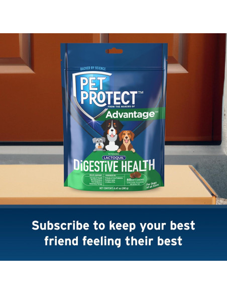 Suplemento Digestivo Pet Protect Elanco 60 Masticables Pollo