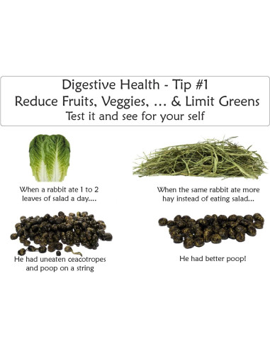 Tabletas Digestivas Sherwood Pet Health Papaya 100 Unidades