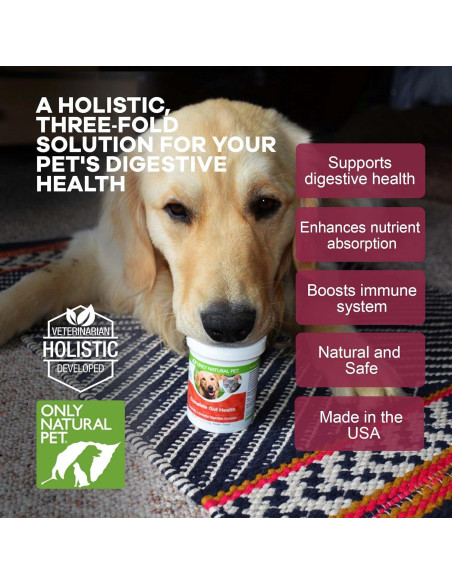 Suplemento Digestivo para Perros y Gatos Only Natural Pet 99g