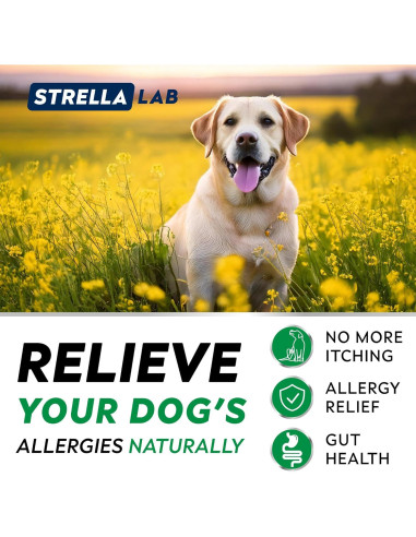 StrellaLab Masticables Antialérgicos para Perros 180 Ct
