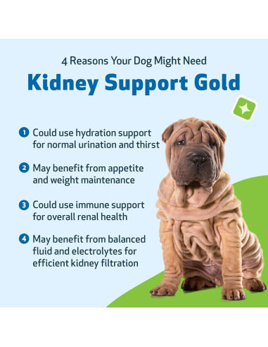 Suplemento Herbal Pet Wellbeing Apoyo Renal 59 ml