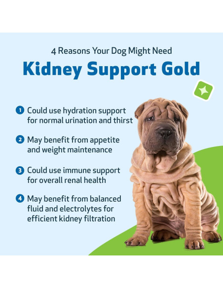 Suplemento Herbal Pet Wellbeing Apoyo Renal 59 ml