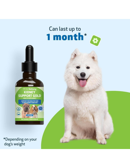 Suplemento Herbal Pet Wellbeing Apoyo Renal 59 ml