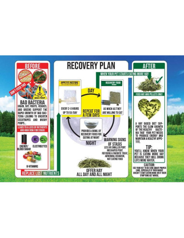 Kit de Emergencia para Conejos Sherwood 800g Comida