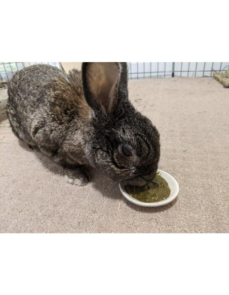 Kit de Emergencia para Conejos Sherwood 800g Comida