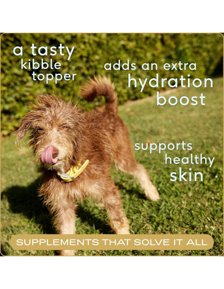 Caldo de Hueso para Perros y Gatos Native Pet 96 Porciones