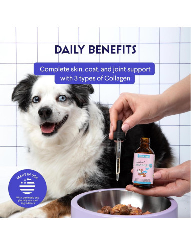 Colágeno Líquido para Perros Wonder Paws - 600 mg - Salud Articular y Piel