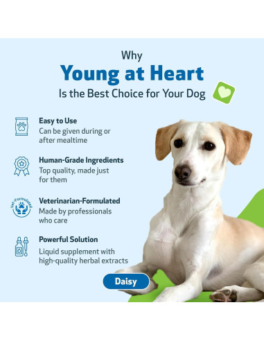 Suplemento Herbal Pet Wellbeing Joven de Corazón 59 ml