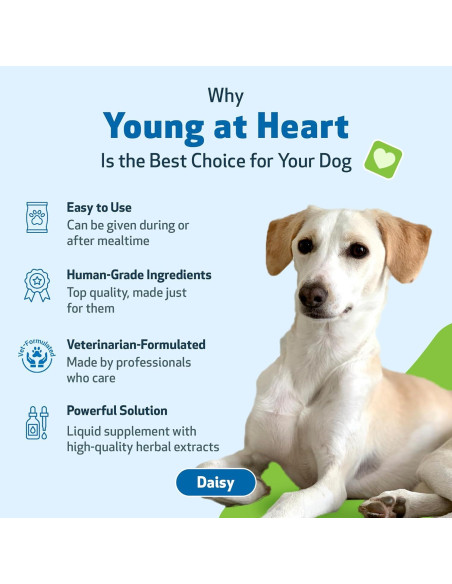 Suplemento Herbal Pet Wellbeing Joven de Corazón 59 ml