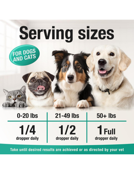 Aceite de Cáñamo Charlie & Buddy para Perros y Gatos 80ml