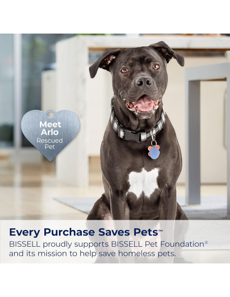 Limpiador de Orina para Mascotas Bissell 1990 1.57L