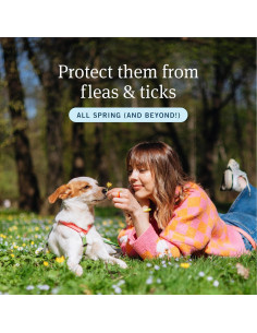 PetArmor Plus Tratamiento Pulgas y Garrapatas Perros 3 Dosis 5-10 kg 2