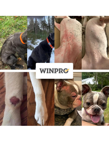 WINPRO Suplemento Masticable para Perros 60 Unidades
