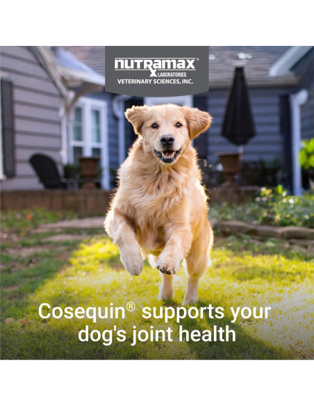 Cosequin DS Plus MSM Nutramax 60 Masticables Suaves Perros