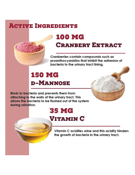 Suplemento D-Mannosa Arándano 120 Masticables para Gatos y Perros