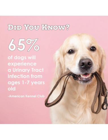 Suplemento D-Mannosa Arándano 120 Masticables para Gatos y Perros