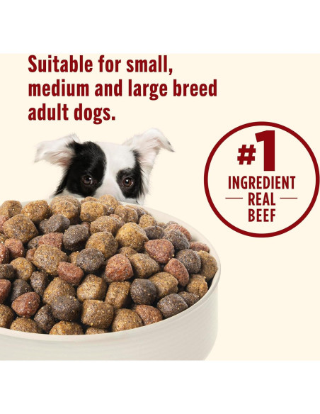 Comida Seca para Perros Nutrish Rachael Ray 12,7 kg Res Guisante