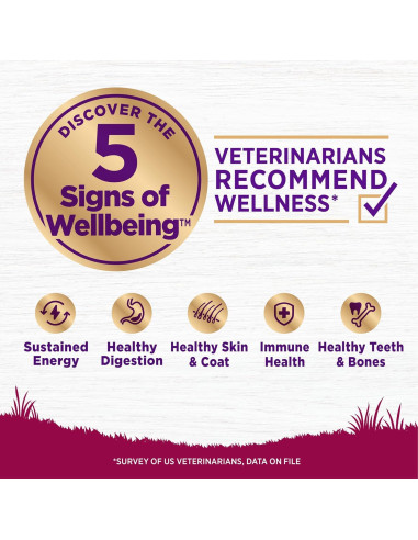 Comida Seca para Perros Wellness 4 Libras Pavo y Avena